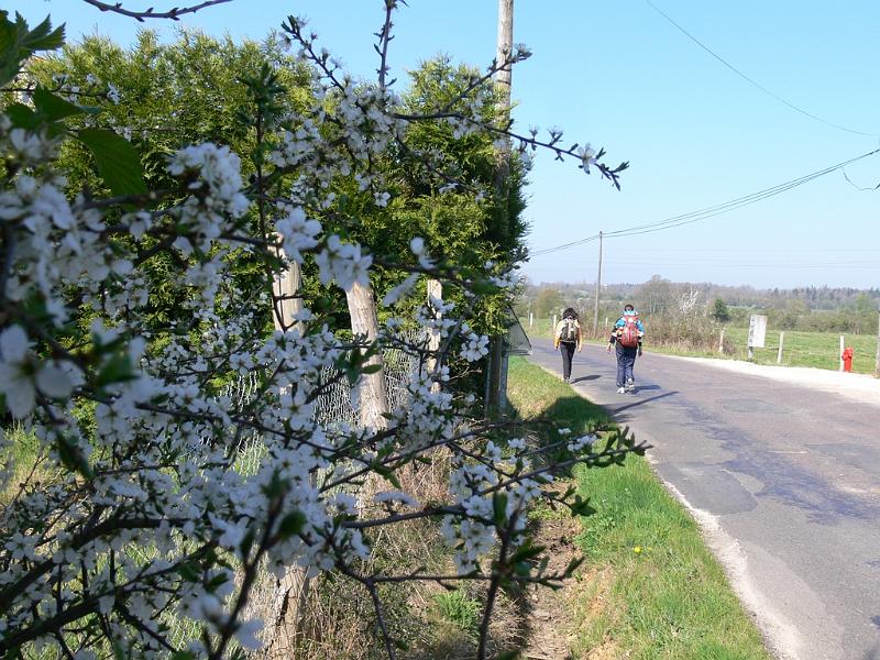 Mont Saint Michel 2010 - 016.jpg